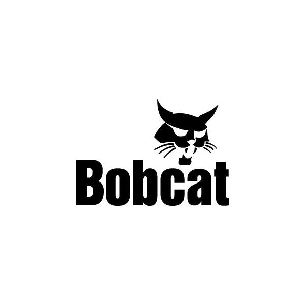 Download Bobcat Manual PDF