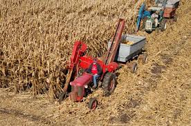 Massey Ferguson 61 ONE ROW CORN PICKER Parts Catalog Manual