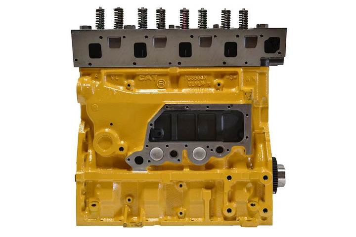 PARTS CATALOG MANUAL - CATERPILLAR 3114 GEN SET ENGINE Download