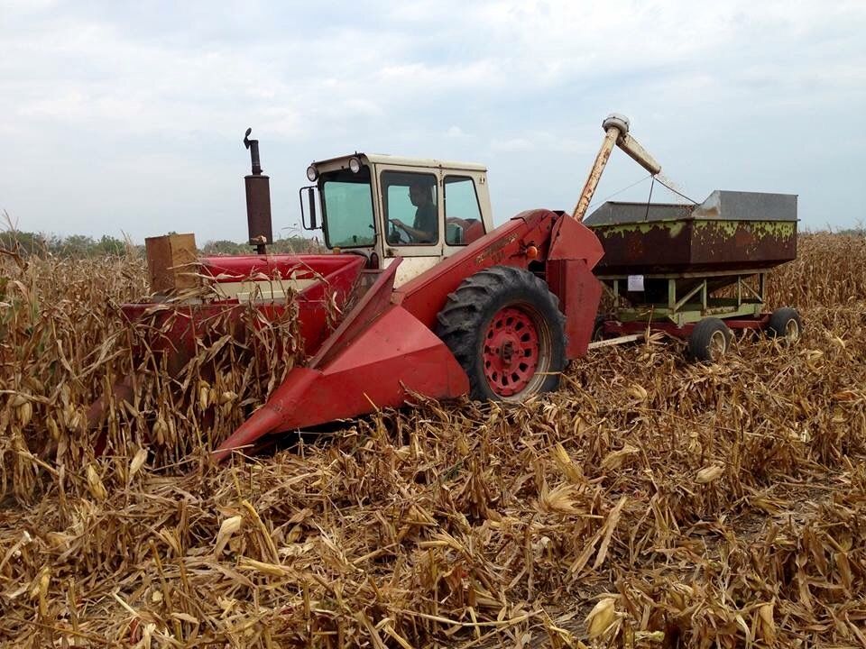 PARTS MANUAL - CASE IH 234 CORN HEAD DOWNLOAD