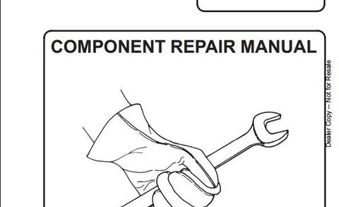 Service Manual - Bobcat Hydraulic Cylinders Download