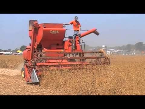 Service Manual - Case 600 Combine 